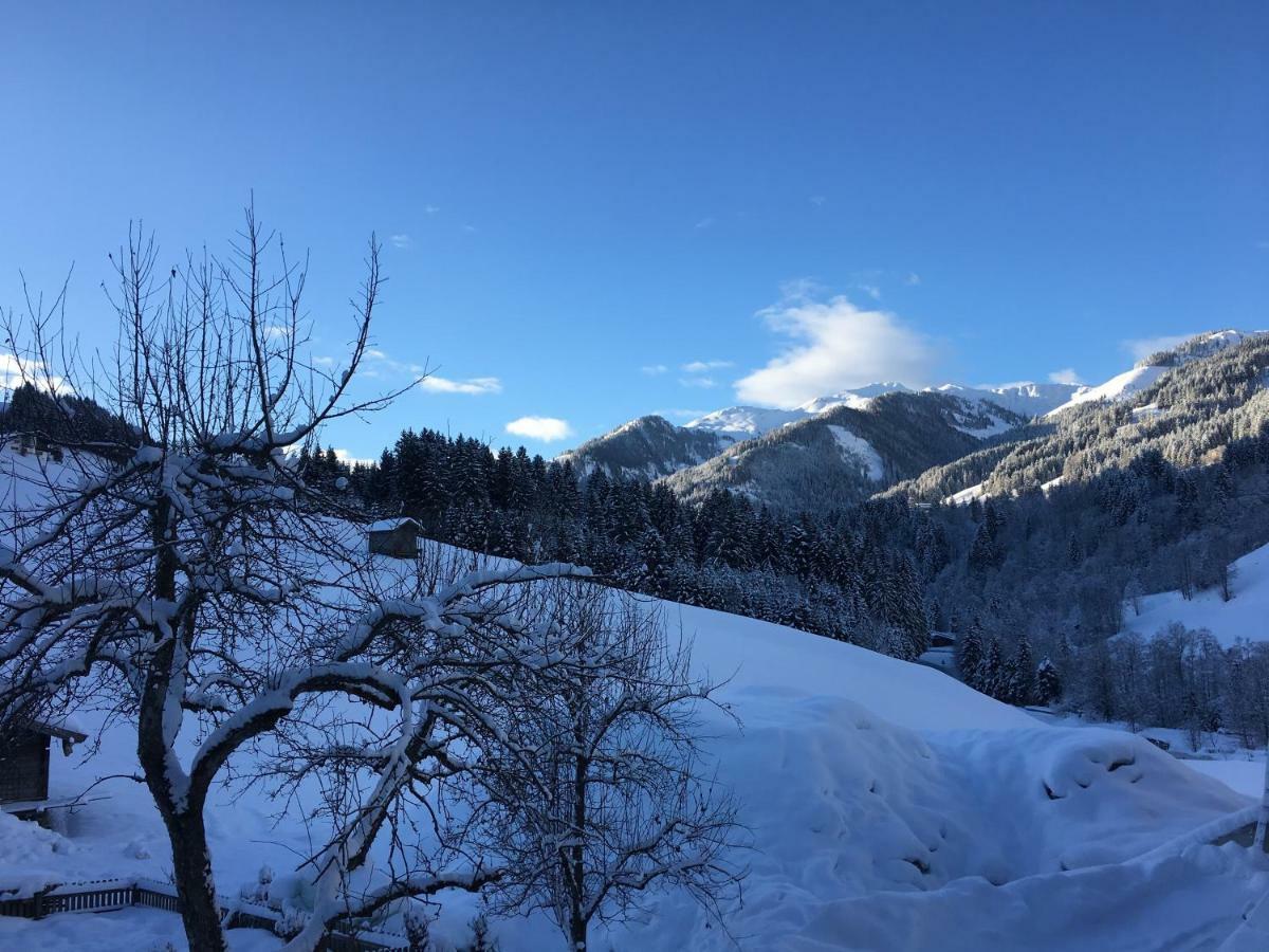 Beim Rohrer Apartment Kirchberg in Tirol