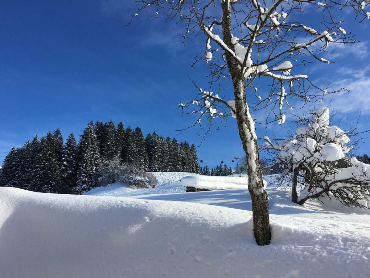 Beim Rohrer Kirchberg in Tirol