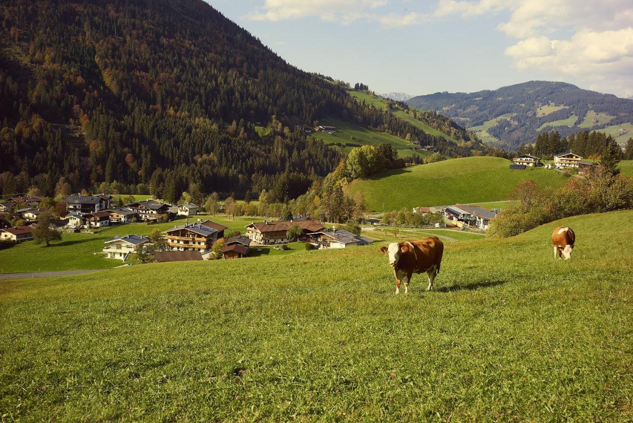 Beim Rohrer *