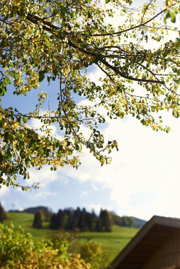 Beim Rohrer Kirchberg in Tirol